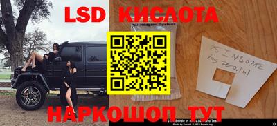 Альфа ПВП Новозыбков